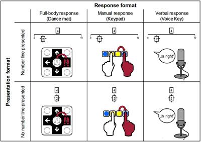 Spatial Presentations, but Not Response Formats Influence Spatial-Numerical Associations in Adults